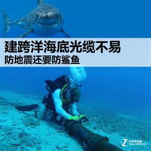 违反本公约的案件的诉讼程序和审理