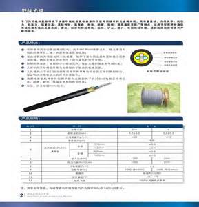 杨浣启太平洋海底光缆 每日涨停（附股）