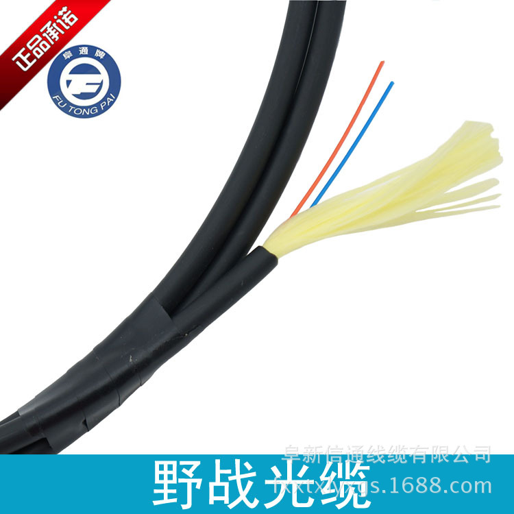陆地光缆拥有备海底光缆 用线路但海底光缆有吗？